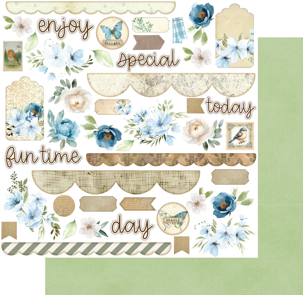 Uniquely Creative - Delighted Curiosities - Curiosity Cabinet